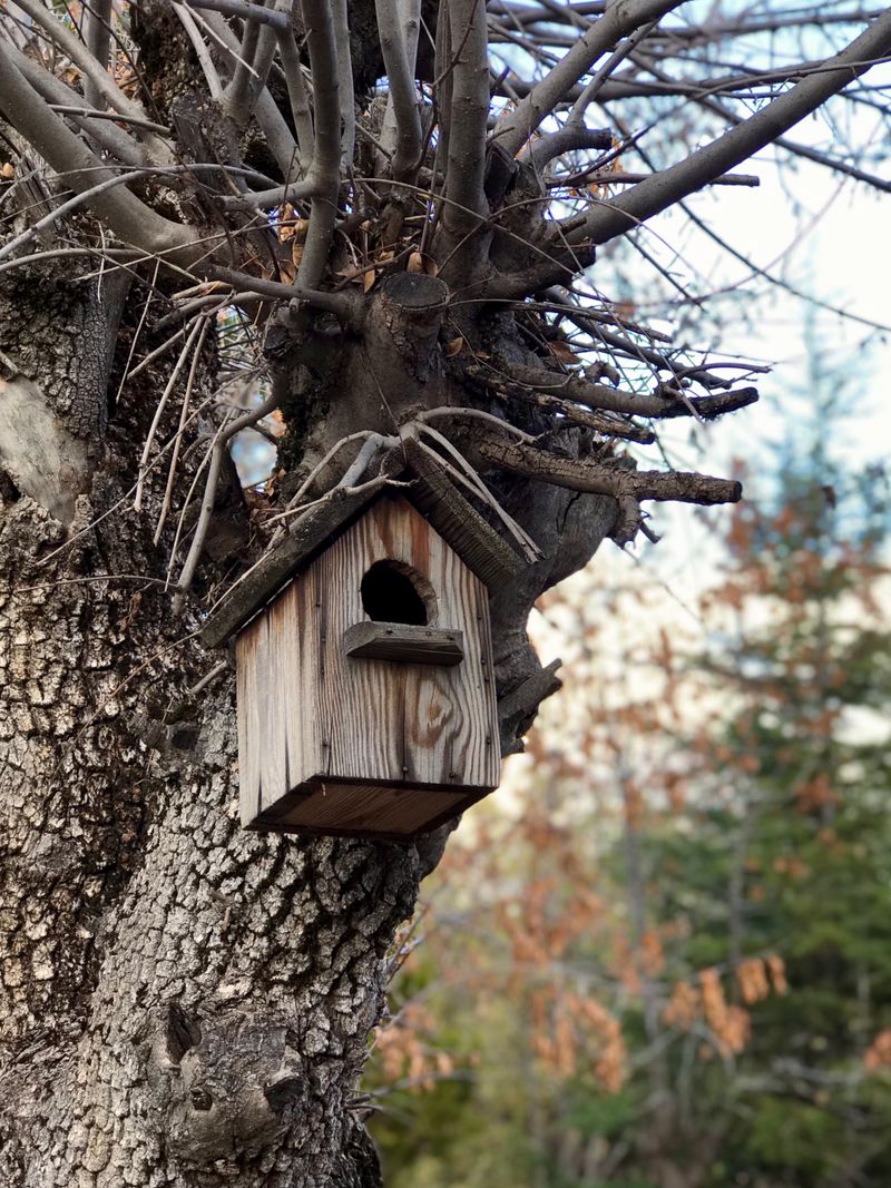 Vogelhaus, handgefertigt