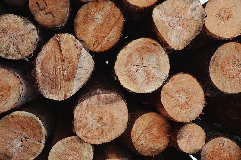 Holzbriketts, 10 kg Sack